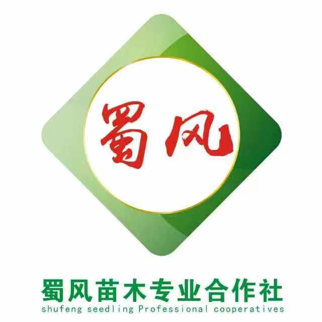 Chengdu Wenjiang District Redtory Shufeng Seedling Professional Cooperative