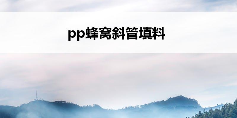 pp蜂窝斜管填料