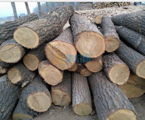锯材用原木材质要求