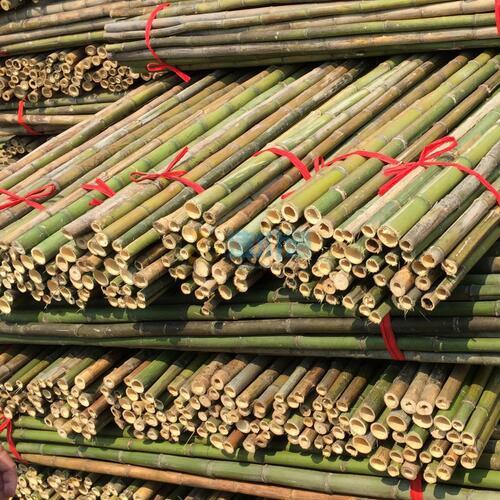 竹材图片